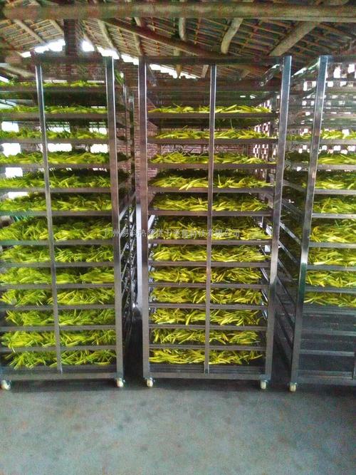 黃花菜烘干機(jī)、黃花菜烘干設(shè)備、黃花菜干燥機(jī)、黃花菜干燥設(shè)備、